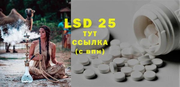 хмурый Пересвет