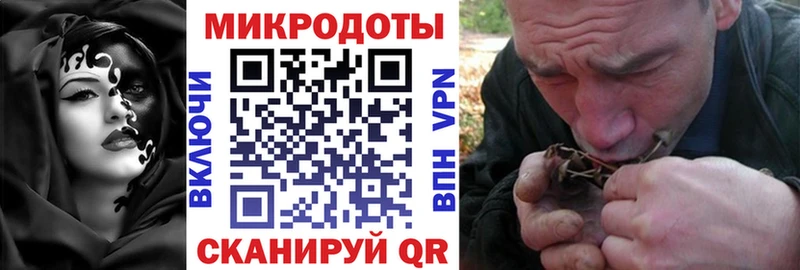 где купить   Горнозаводск  Галлюциногенные грибы MAGIC MUSHROOMS 