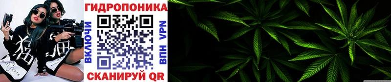 Шишки марихуана ГИДРОПОН  Горнозаводск 